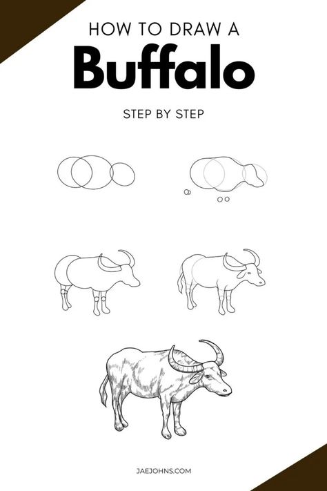 How to Draw a Realistic Buffalo | 5 Easy Steps - Jae Johns How To Draw A Buffalo, Carabao Drawing Easy, Carabao Cartoon, Carabao Drawing, Kertas Buffalo, Water Buffalo Drawing, Buffalo Drawing Easy, Buffalo Drawing, Buffalo Cartoon