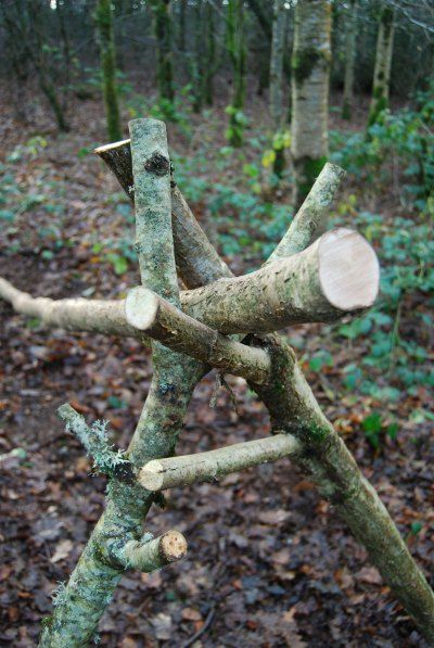 Den Building Outdoor, Woodland Classroom, Den Building, Outdoor Forts, Quotes She, Forest Schools, Forest Kindergarten, Forest School Activities, Bushcraft Skills