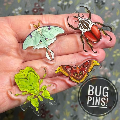 "A collection of acrylic bug pins! Each one is 1.5\" wide with a rubber heart-shaped clutch on the back. Made with double-board acrylic so the print is protected on all sides! Bugs available: Atlas Moth Luna Moth Walking Leaf/ Leaf Bug Goliath Beetle Love these designs? Can't get enough of these cute little bugs? Check out my shop for sticker versions and other insects!" Moth Luna, Leaf Bug, Goliath Beetle, Atlas Moth, Cool Bugs, Bug Art, Backpack Pins, Acrylic Pins, Pretty Pins