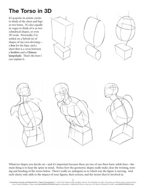 Figure Drawing Basics Anime Anatomy, Drawing Basics, Figure Drawing Tutorial, Draw Comics, Perspective Drawing Lessons, Drawing Cartoon Faces, Anatomy Tutorial, Stick Figure Drawing, Human Anatomy Drawing