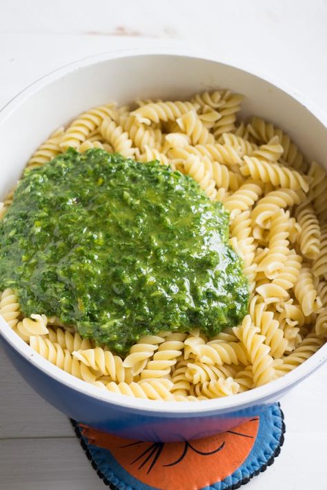 vegetarian green parsley sauce Pasta And Pesto, Parsley Pasta, Nut Free Pesto, Parsley Sauce, Fresh Herb Recipes, Parsley Recipes, Parmesan Recipes, Herb Recipes, Parmesan Pasta