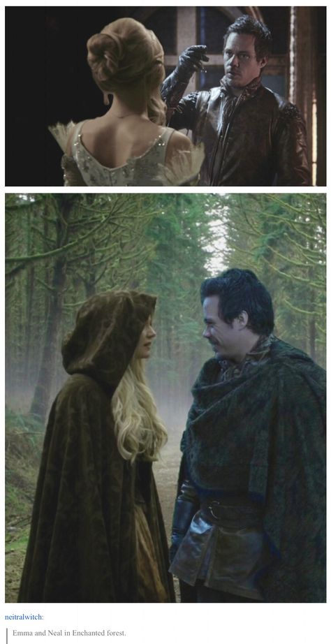 Swanfire in the enchanted forest The Enchanted Forest, Enchanted Forest, Once Upon A Time, Enchanted, Forest, Movie Posters, Art, Film Posters