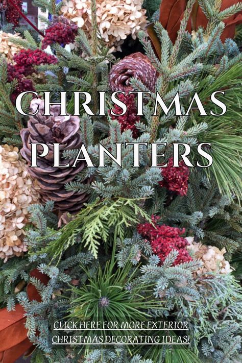 Christmas Porch Arrangements, Winter Container Plants Front Porches, Outdoor Winter Container Ideas, Plants And Christmas Decor, Simple Christmas Urns, Fall Porch Planters Diy, Outside Christmas Decor Yard Decorations Diy Diy, Outside Winter Decorations, Flower Pot Christmas Decorations