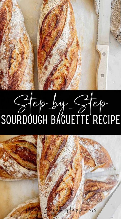 There is something so wonderful about sourdough baguettes. With their abundance of crunchy crust, they are teamed with an airy, light, and chewy interior. Making this sourdough baguette recipe is not that hard, and if you read on, you will see. This recipe for step-by-step sourdough baguettes will show you how to make these delicious French baguettes at home without commercial yeast! Sourdough Baguette Recipe, Sourdough Baguettes, Sourdough Crust, French Baguette Recipe, Sourdough Baguette, Recipe Using Sourdough Starter, Baguette Recipe, Dough Starter, Sourdough Starter Discard Recipe