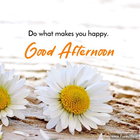 Good Afternoon Images Quotes, Afternoon Images Beautiful, Good Afternoon Images Beautiful, Good Afternoon Images Hd, Midday Slump, Good Afternoon Images, Afternoon Images, Good Morning Msg, Lovely Good Morning Images