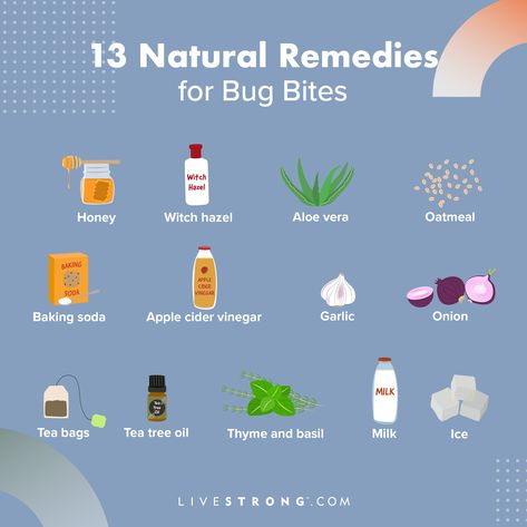 Natural Bug Bite Remedy, Natural Bug Bite Relief, Remedies For Bug Bites, Natural Itch Relief, Mosquito Bite Relief, Remedies For Mosquito Bites, Bug Bite Relief, Bug Bites Remedies, Bug Bite