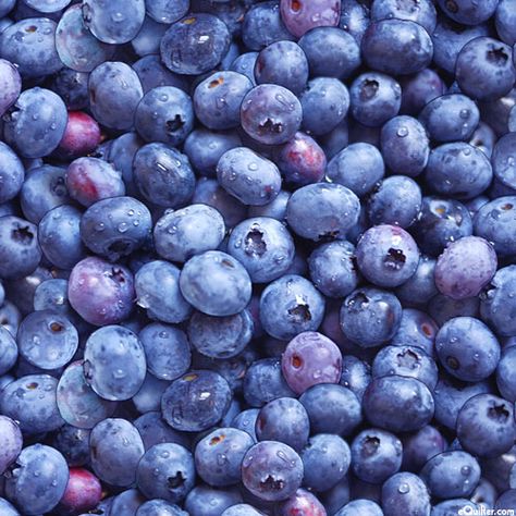 Berry Good - Bountiful Blueberries - Dk Blue Blueberry Canning, Berry Good, Blue Berry, Novelty Fabric, Studio Blue, Fabric Yardage, Coffee Cake, Craft Items, Colorful Pictures