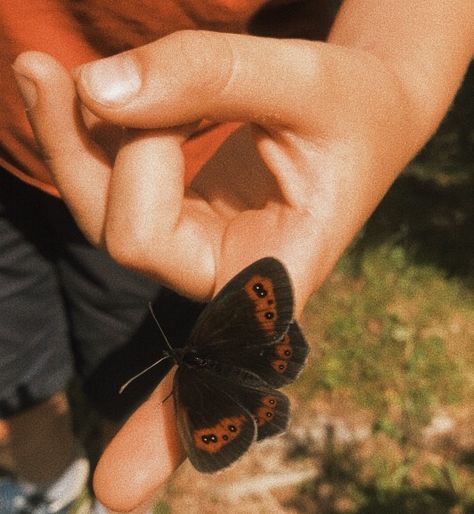 Red and black butterfly landed on finger Butterfly On Hand, Red And Black Butterfly, Finger Photo, Red Butterfly, Black Butterfly, Red And Black, Film, Red, Black