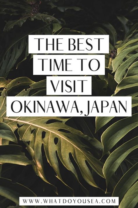 Okinawa Beach, Military Bases, Japan Itinerary, Visit Asia, Japan Travel Tips, Japan Travel Guide, Travel Destinations Asia, Japanese Gardens, Asia Travel Guide