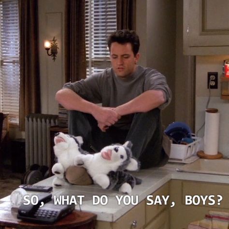 Chandler Bing Aesthetic Moodboard, Chandler Bing Aesthetic, Meme Friends, Sitcoms Quotes, Memes Friends, Real Memes, Friends Scenes, Smelly Cat, Friends Season