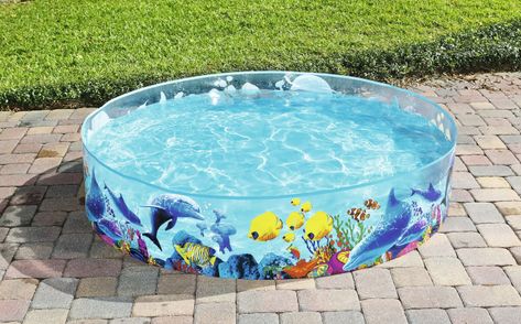 Food Grade Buckets, Pvc Pool, Patio Railing, Paddling Pool, Children Swimming Pool, Cat Grass, Pool Sizes, Small Pools, Kiddie Pool