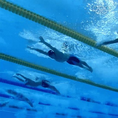 Butterfly Stroke Olympics GIF - Butterfly Stroke Olympics Swimmers - Discover & Share GIFs Swimming Strokes Butterfly, Swimming Butterfly, Swimming Gif, Butterfly Swimming, Butterfly Gif, Swimming Strokes, Swim Practice, Olympic Swimmers, Water Sport