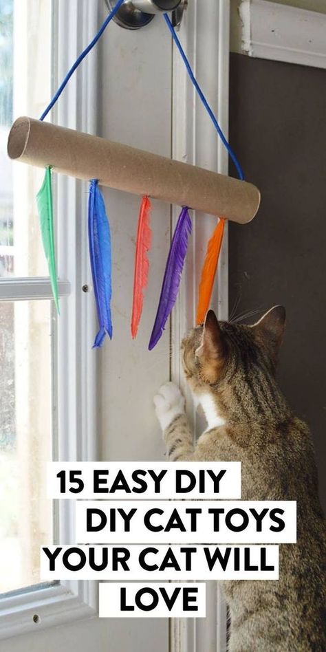 Easy Cat Toys To Make, Boxes For Cats Diy, Toilet Paper Roll Cat Toy Diy, Dog And Cat Toys Diy, Toys For Cats Diy How To Make, How To Make Cat Toys Easy, Cat Toys With Toilet Paper Rolls, Easy Homemade Cat Toys, How To Make Cat Toys Out Of Yarn