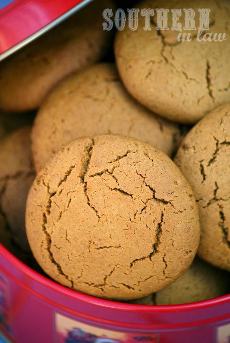 Healthy Ginger Cookies Recipe - Healthy Christmas Cookie Recipes, Healthy, Low Fat, Gluten Free, Low Sugar, Skinny Recipes, Gingernut Biscuits, Ginger Biscuits, Home made Cookie Recipes Healthy, Low Fat Biscuits, Sugar Free Biscuits, Ginger Cookies Recipe, Low Fat Baking, Low Sugar Cookies, Sugar Free Cookie Recipes, Xmas Cookies Recipes, Smell Of Christmas