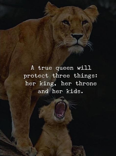 True Life Quotes, Lioness Quotes, Mamma Bear, Leo Quotes, Her King, Lion Quotes, Lion Love, Inspirational And Motivational Quotes, Cute Quotes For Life