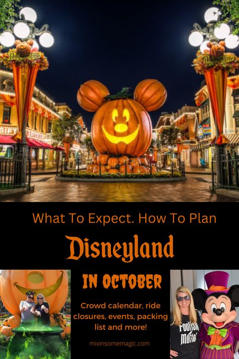 Fall At Disneyland, What To Wear To Disneyland In October, Disneyland In October, Disneyland October, Halloween Time At Disneyland, Disney Magical, Halloween Themed Food, Disney 2023, Disneyland Planning