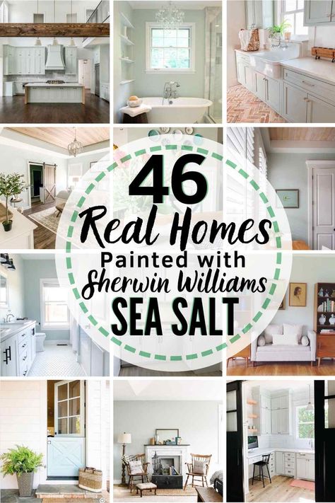 Sherwin Williams Sea Salt SW-6204 Is it the perfect paint shade for your home? Let's find out... Sherman Williams Sea Salt, Sea Salt Kitchen, Sw Sea Salt, Sherwin Williams Sea Salt, Sea Salt Paint, Coastal Paint Colors, Coastal Paint, Sea Salt Sherwin Williams, Salt Room