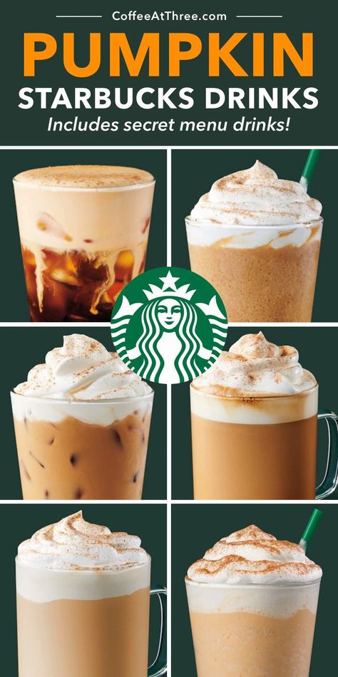 The complete guide to all of the Starbucks pumpkin drinks, including secret menu items! #starbucks #starbuckssecretmenu #psl #pumpkinspice #starbucksdrinks Pumpkin Chai Frappe, Iced Pumpkin Spice Latte Starbucks, Pumpkin Drinks Starbucks, Pumpkin Latte Starbucks, Starbucks Pumpkin Drinks, Hot Pumpkin Spice Latte, Pumpkin Drink Recipes, Pumpkin Spice Frappuccino, Iced Pumpkin Spice Latte