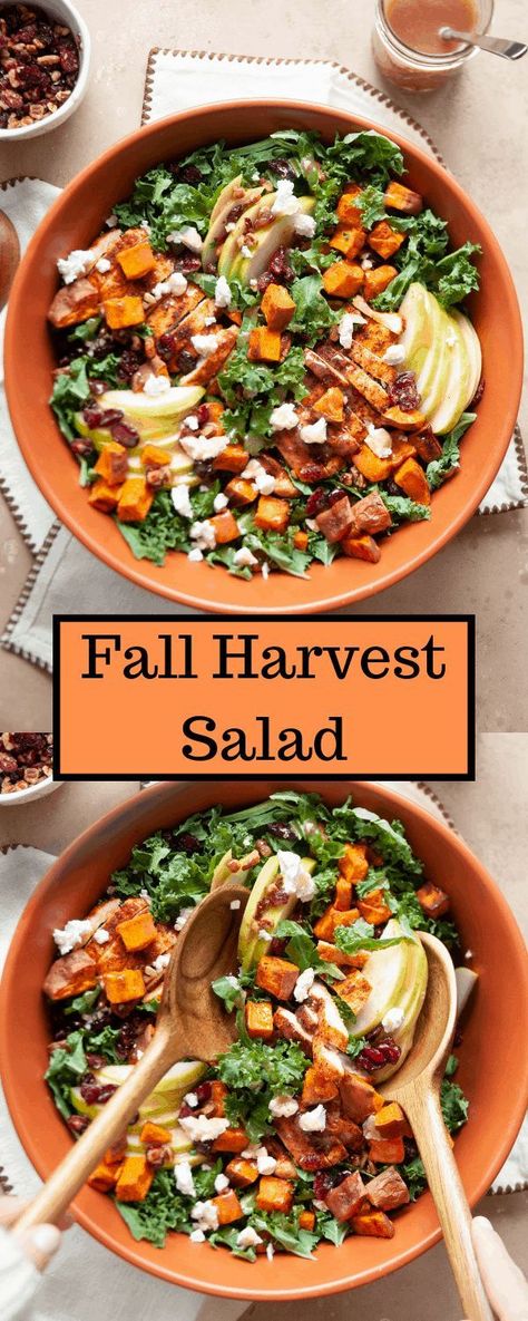 Fall Harvest Salad, Apple Cider Vinaigrette, Salad With Apples, Autumn Salad Recipes, Cider Vinaigrette, Harvest Salad, Sweet Potato And Apple, Kale And Spinach, Autumn Salad