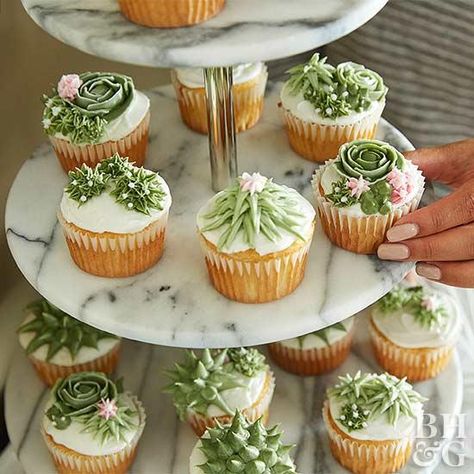 Succulent Cupcakes Easy, Cupcake Display Ideas, Succulent Cupcakes, Cactus Cake, White Cupcakes, Cactus Party, Cupcake Display, Cupcake Tower, Wedding Cupcakes