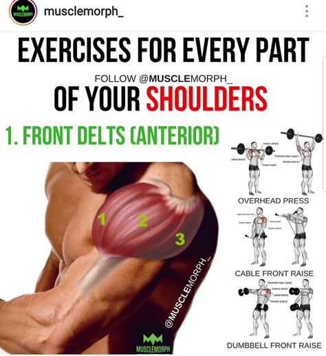 Shoulders (Front Delts) Lateral Exercises, Delts Workout, Shoulder Training, Sixpack Workout, Gym Antrenmanları, Muscle Building Workouts, Weight Training Workouts, Workout Chart, Muscle Building