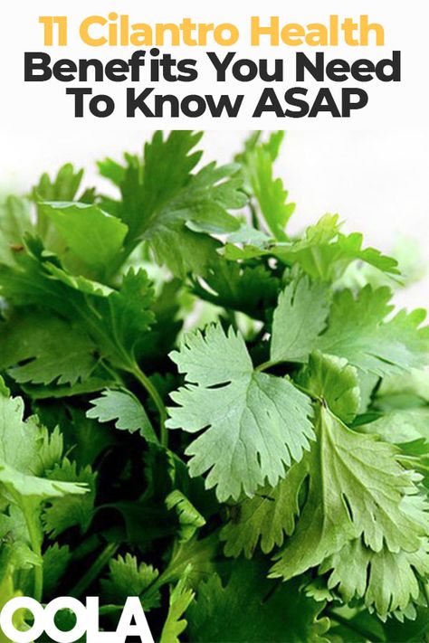 Cilantro Benefits, 20 Pounds In A Month, Home Remedies For Bronchitis, Baking Soda Beauty Uses, Health And Fitness Magazine, Healthy Diet Tips, Fitness Advice, Good Health Tips, Healthy Eating Tips