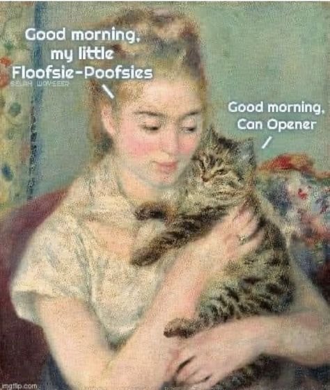 Cat Lady Humor, Cheezburger Cat, Cat Sanctuary, Cat Parenting, Funny Cat Memes, Funny Cute Cats, Silly Cats, Cat Owners, Cartoon Cat