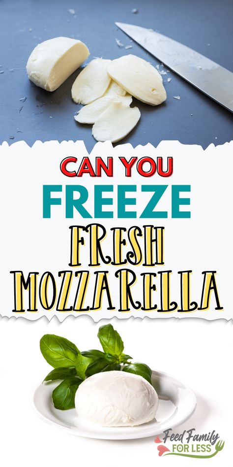 Fresh Mozzarella Ideas, Freezing Cheese How To, How To Use Fresh Mozzarella, Fresh Mozzarella Cheese Recipes, Fresh Mozzarella Uses, Can You Freeze Cheese, Recipes With Fresh Mozzarella Cheese, What To Do With Mozzarella Cheese, Recipes Using Fresh Mozzarella Cheese