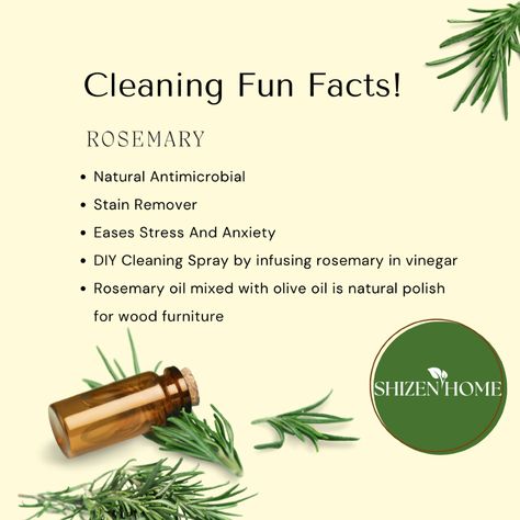 #rosemary  #sustainableliving #sustainability #naturalcleaning  #cleaningtips #japancleaning #ecofriendly  

✨ Freshen up your space with the power of rosemary! 🌿 Not only does it smell amazing, but its natural antimicrobial properties make it a fantastic eco-friendly cleaning solution. Say goodbye to harsh chemicals and hello to a cleaner, greener home! 🏡💚 Diy Cleaning Spray, Natural Antimicrobial, Cleaning Fun, Natural Cleaning, Cleaning Spray, Oil Mix, Rosemary Oil, Smell Amazing, Natural Cleaning Products