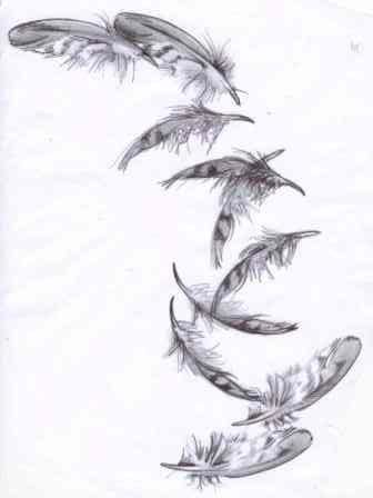 falling feathers Falling Feathers Drawing, Falling Feather Tattoo, Drawing Tattoo Design, Falling Feathers, Witchcraft Tattoos, Feather Drawing, Owl Feather, Feather Tattoo Design, Wings Drawing