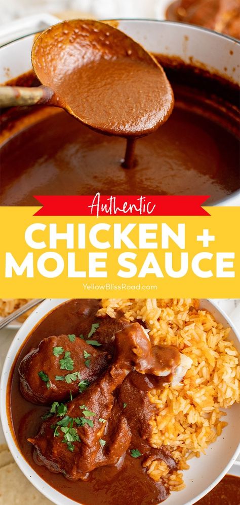 Mole Recipe Mexican, Chicken Mole Recipe, Mexican Mole, Mole Recipe, Chicken Mole, Mole Sauce, Sauce Chicken, Latin Food, Chicken Dishes Recipes