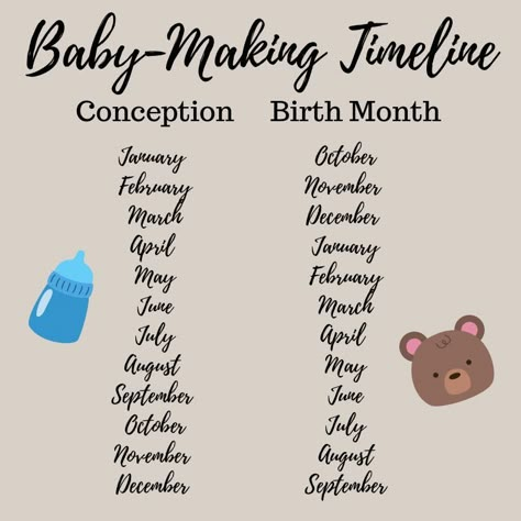 Pregnancy Chart Conception, What Month Will My Baby Be Born, Baby Planning Timeline, Baby Conception Month, Pregnancy Appointment Timeline, When To Announce Pregnancy Timeline, Pregnancy Preparation Timeline, Conception Month Birth Month, Pregnancy Timeline To Do List