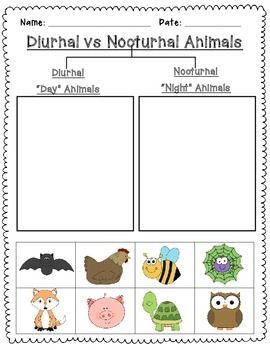 Nocturnal and Diurnal Animal Sort is a simple cut and paste activity to reinforce learning about day and night. Nocturnal Vs Diurnal Animals Preschool, Diurnal Animals Preschool, Nocturnal And Diurnal Animal Activities, Diurnal And Nocturnal Animals, Nocturnal Animals Preschool Crafts Art Projects, Nocturnal Animals Preschool Crafts, Nocturnal Animals Preschool, Nocturnal Animals Activities, Night Monkey