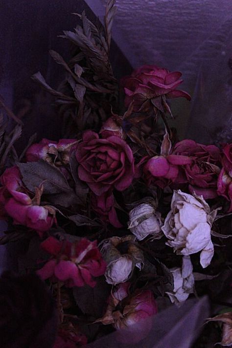 A Bunch Of Flowers, Yennefer Of Vengerberg, Pastel Decor, Dark Flowers, Arte Obscura, All Things Purple, Dark Floral, Purple Lilac, Bunch Of Flowers