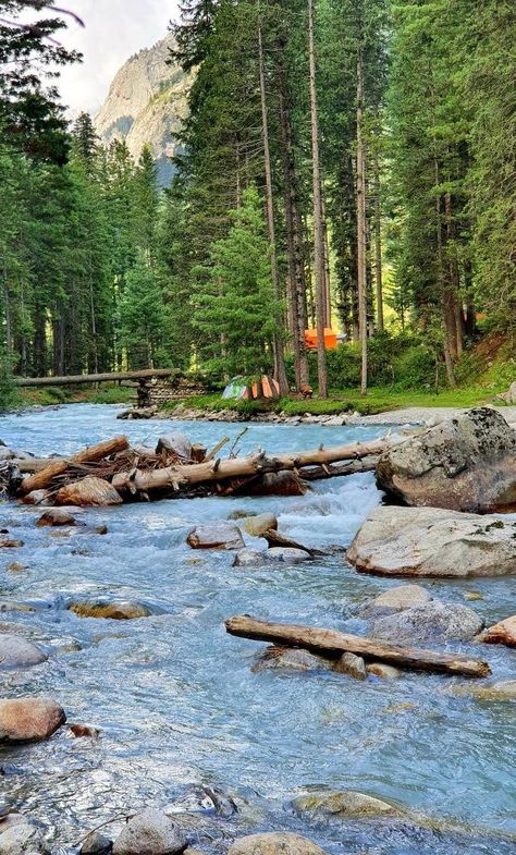 Kumrat Valley 
#kumratvalley #Kumrat #kpk Pakistan Tourism Places, Beautiful Places Of Pakistan, Pakistan Vibes, Beautiful Places In Pakistan, Pakistan Landscape, Pakistan Nature, Saraswati River, Kumrat Valley, Beauty Of Pakistan