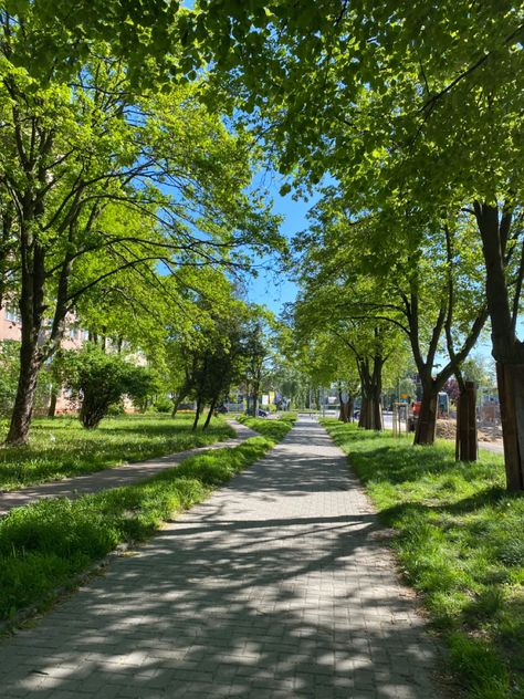 #citypark #park #aesthetic #green #tree #walk Stroll In The Park, Spring Park Aesthetic, City Walking Aesthetic, Walkable City Aesthetic, Park Green Aesthetic, Walk Astethic, Park Astethic, Green Park Aesthetic, City Park Aesthetic