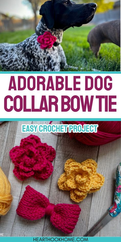 Enhance your dog's collar with these free crochet patterns for a bow tie and flower. Perfect for adding a touch of charm! Make A Bow Tie, Dog Collar Pattern, Dog Bandana Pattern, Dog Sweater Crochet Pattern, Bowtie Pattern, Make A Bow, Crochet Dog Patterns, Crochet Dog Sweater, Cute Dog Collars