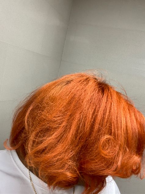 Paprika Hair Color, Ginger On 4c Hair, Cinnamon Ginger Hair, Cajun Spice Hair Color, Cajun Spice And Paprika Hair Color, Cinnamon Spice Hair Color, Adore Cajun Spice Hair Color, Adore Paprika Hair Color, Dyed Afro Hair 4c Ginger