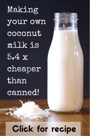 Save money by making your own coconut milk Plat Vegan, Coconut Milk Recipes, Coconut Recipes, Nut Milk, Milk Recipes, Shredded Coconut, Coconut Flour, Diy Food, Paleo Recipes