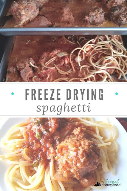 Freeze drying meals like freeze dried spaghetti and meatballs is a great way to create food storage but also cut back on meal prepping during a busy w Best Meals To Freeze Dry, How To Freeze Dry Marshmallows, Freeze Dry Potatoes, Meals To Freeze Dry, Freeze Dried Meals Recipes, Best Freeze Dried Meals, Freeze Dry Meal Recipes, Freeze Dried Meal Ideas, Things To Freeze Dry