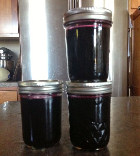 Grape Jelly No Pectin, Low Sugar Grape Jelly Recipe, Grape Jelly Recipe No Pectin, Wild Grape Jelly Recipe, Sure Jell Recipe, Concord Grape Recipes, Grape Jelly Recipe, Grape Jam Recipe, Muscadine Jelly