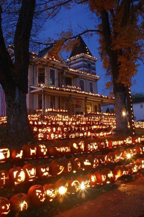 The Pumpkin House In Kenova, West Virginia Halloween Fest, Pumpkin House, Fröhliches Halloween, Fall Things, Zucca Halloween, Halloween Tattoo, Halloween Outdoor, Have Inspiration, Tapeta Pro Iphone