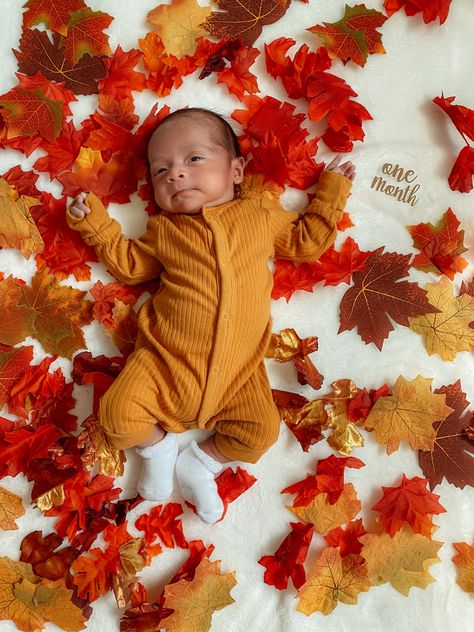 Diy Newborn Thanksgiving Pictures, Infant Fall Photoshoot At Home, 2 Month Old Fall Photo Shoot, Newborn First Thanksgiving Pictures, October One Month Picture, 1 Month Old Baby Pictures Thanksgiving, One Month Thanksgiving Baby Pictures, September Newborn Photoshoot, Infant Fall Pictures