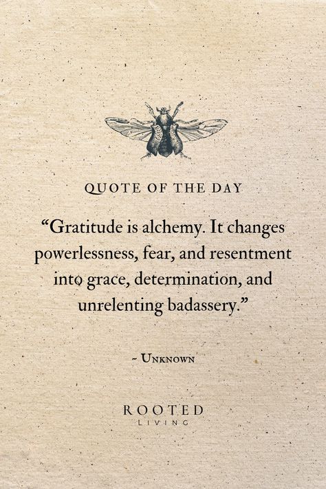 Gratitude is like alchemy, the ancient practice of turning base metals into gold. It has the power to transform the ordinary moments of life into something precious and profound. Just as those alchemists aimed to change the very essence of things, gratitude changes how we see the world, and shifts our perspective, transmuting challenges into opportunities, and everyday experiences into sources of joy and growth. ✨ Alchemy Quotes, Alchemist Quotes, Gratitude Changes Everything, Woman Inspiration, Collage Photos, Moments Of Life, Profound Quotes, The Alchemist, Self Inspirational Quotes