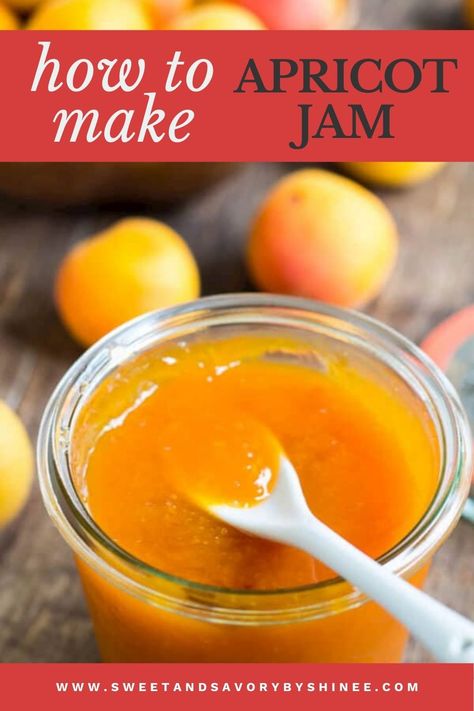 Jar of apricot jam with a white spoon in it Canning Apricots, Apricot Jam Recipe, Jam Homemade, Apricot Jam Recipes, Canning Jam Recipes, Jam Recipes Homemade, Summer Salads With Fruit, Fruit Preserves, Jam Recipe