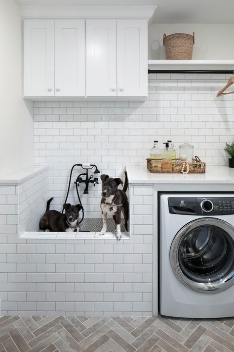 2020 Artisan Home Tour - Laundry Room - Minneapolis - by Housing First Minnesota | Houzz Landmark Photography, Alma Homes, Utility Room Organization, Traditional Laundry Room, Pet Washing Station, Custom Laundry Room, Laundry Room Pictures, Shea Homes, Dog Washing Station