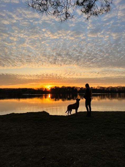 Sunset/ walking / dog Dog Walk Aesthetic, Dog Walking Aesthetic, Expression Board, Walking With Dog, Sleepover Stuff, Bestie Board, Walking Dogs, Walking City, Walking Dog