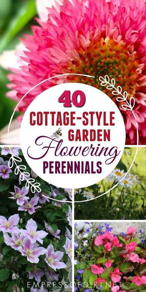 These ideas will add charm to any yard. Flowering Perennials, Cottage Garden Plants, Sutton Place, Cottage Garden Design, Garden Wallpaper, Garden Shrubs, Style Cottage, Cut Flower Garden, Beautiful Flowers Garden