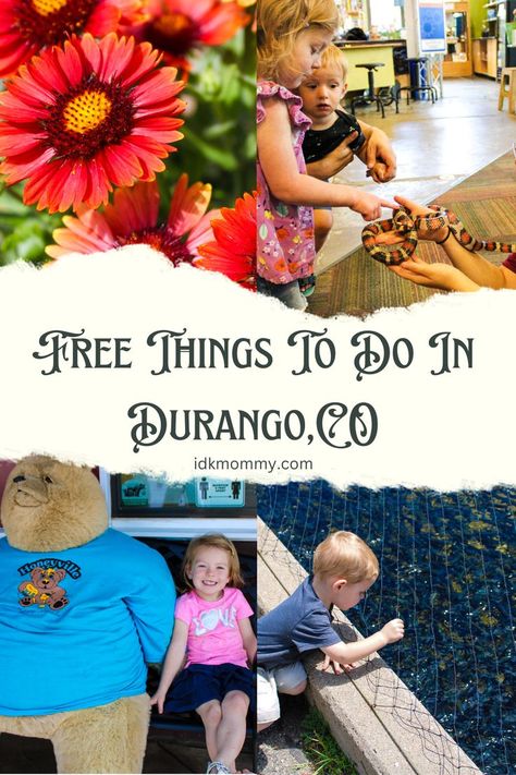 Durango Colorado Summer, Durango Colorado Winter, Colorado With Kids, Budget Trips, Travel Colorado, Road Trip To Colorado, Explore Colorado, Colorado Summer, Colorado Winter