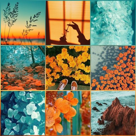 Orange/Teal/Flower aesthetic Nature Moodboard Aesthetic, Orange And Blue Moodboard, Blue And Orange Mood Board, Orange Mood Board Aesthetic, Teal And Orange Aesthetic, Orange And Teal Aesthetic, Teal Moodboard, Mood Board Color Palettes, Teal Mood Board